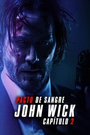 John Wick 2: Un Nuevo Día para Matar (2017)