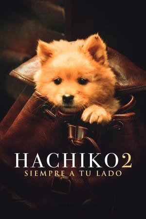 Siempre a tu Lado: Hachiko 2 (2024)